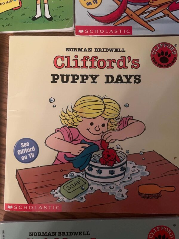 Lot of Books | Children's Classics Clifford, Berenstain Bears, and more - Image 16