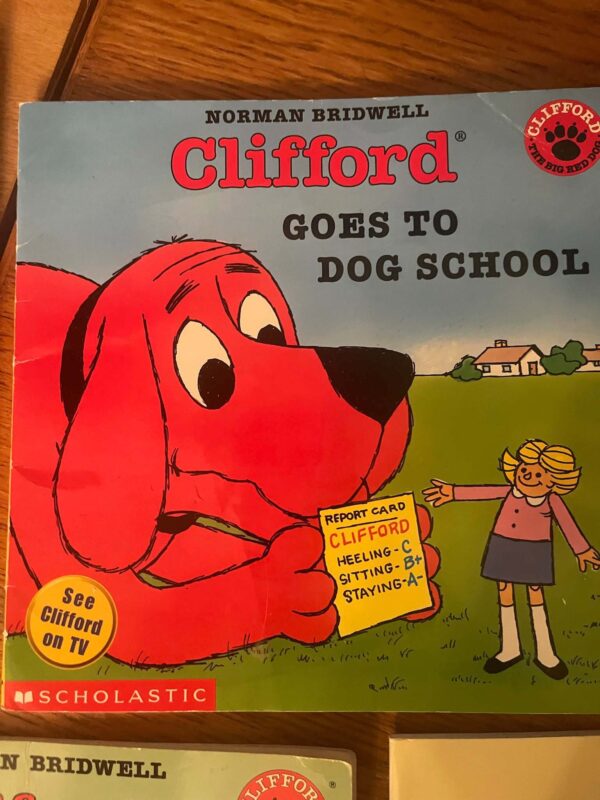 Lot of Books | Children's Classics Clifford, Berenstain Bears, and more - Image 19