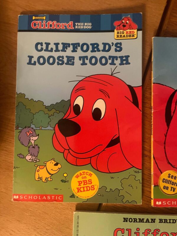 Lot of Books | Children's Classics Clifford, Berenstain Bears, and more - Image 20