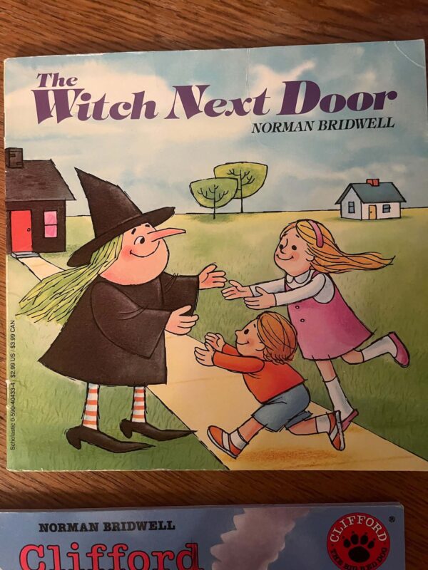 Lot of Books | Children's Classics Clifford, Berenstain Bears, and more - Image 24