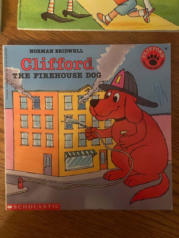 Lot of Books | Children's Classics Clifford, Berenstain Bears, and more - Image 25