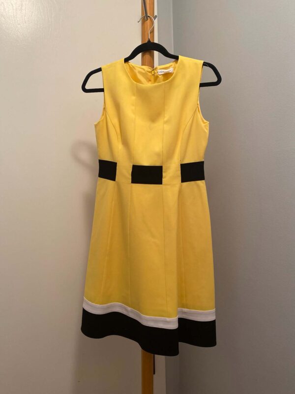 Calvin Klein Tank Dress | Size 4P