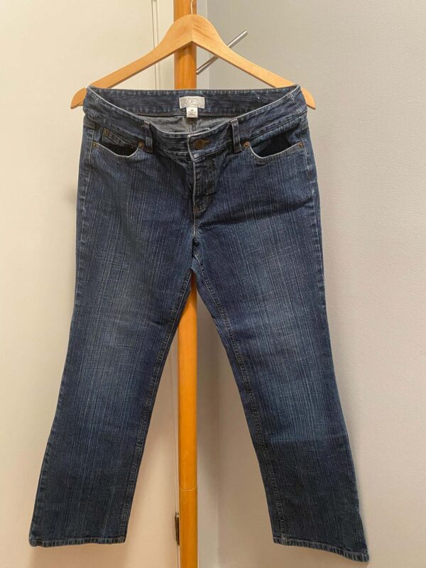 Ann Taylor Loft Petite Size 8P Jeans - Image 2