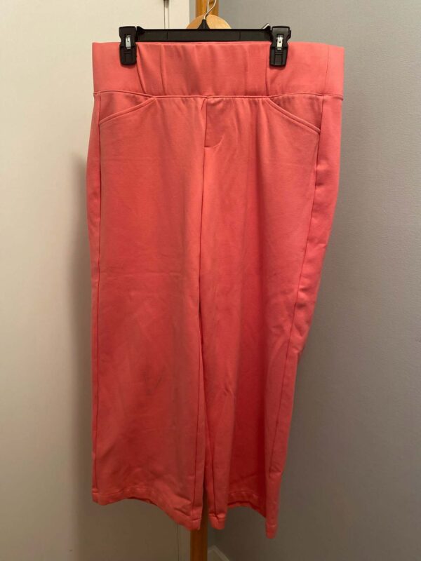 Studio By Torrid Pull On Pocket Pixie Wide Leg Pants Size 0S